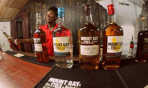 the mount gay rum tour and cocktail experience cest la vibe