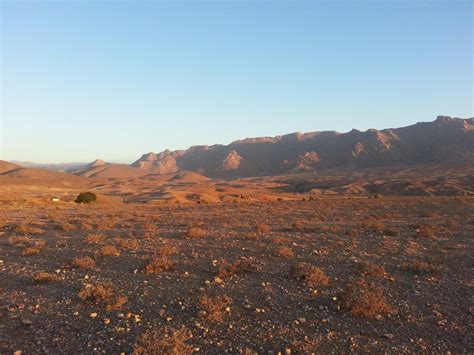 This list may not reflect recent changes (). Genetics of African KhoeSan populations maps to Kalahari Desert geography | (e) Science News
