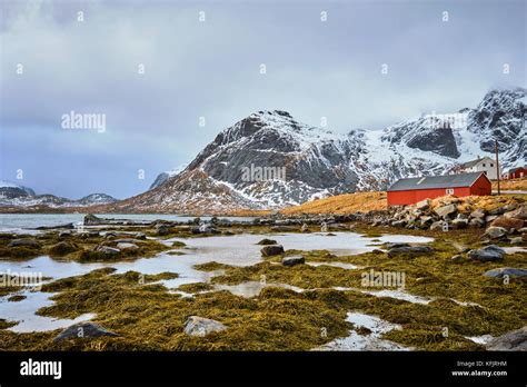 Red Rorbu House And Fjord In Norway Stock Photo Alamy