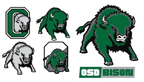 School For The Deafs New Mascot Art Revealed At Homecoming Celebration