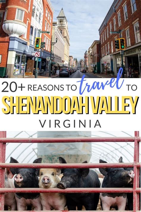 The Shenandoah Valley Road Trip 20 Must Visit Places Virginia Travel