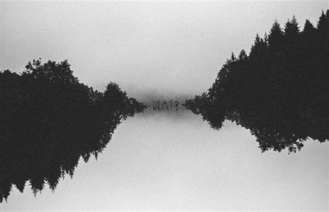 Find & download free graphic resources for black background. trees, Forest, Faded, Black, Monochrome, Grain, Minimalism ...