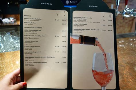 Complete Guide To All The Bars On Msc Divina