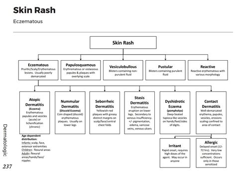 Eczematous Skin Rash Differential Diagnosis Algorithm Eczematous