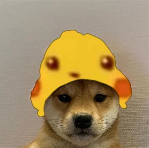Surprised Pikachu Dogwifhat Dogwifhat Know Your Meme