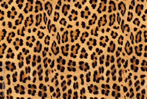 Seamless Leopard Fur Jaguar Texture Animal Print African Animal