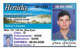 Search Drivers License Images