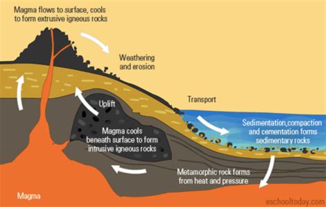 Fossils And Rocks 6th Grade Science Diagram Quizlet