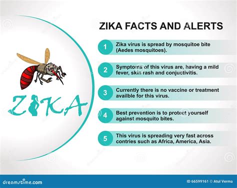 Zika Virus Alarm Mückenstich Verhinderung Und Symptome Infographic Vektor Abbildung