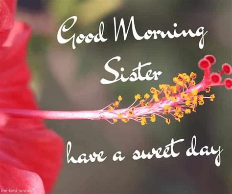 120 Lovely Good Morning Wishes And Greetings For Sister Good Morning