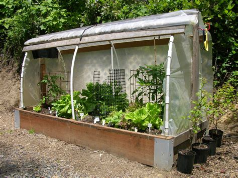 I will be doing several videos to highlight different garden beds, styles, planting and care as a way to help new gardeners get ideas on how they may like. Lengthen Growing Season by Building a Coldframe or Cloche - Willamette Living Magazine