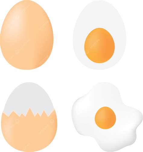다양한 패턴 계란 벡터 계란 계란 후라이 3d Png 일러스트 및 벡터 에 대한 무료 다운로드 Pngtree