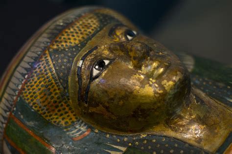 museum unwraps mysteries of ancient egyptian mummies toronto star