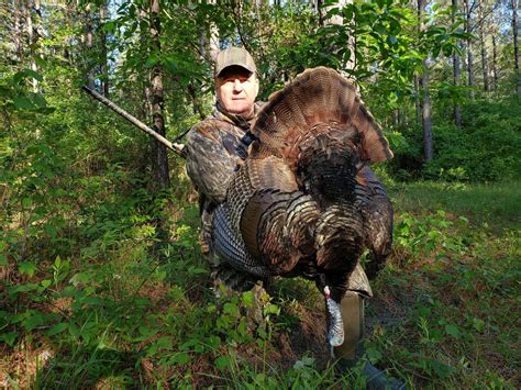 Check Out These Amazing Gobblers Taken In Alabama This Year