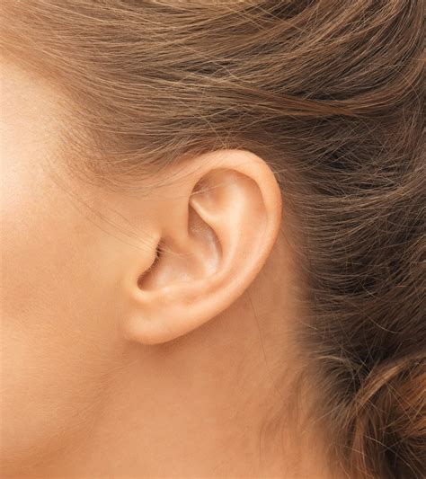 Detached Connected Earlobes Or Are They Detached And Dangly Betoniks