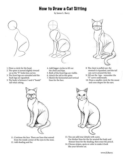 Https://techalive.net/draw/how To Draw A Realistic Cat Step By Step