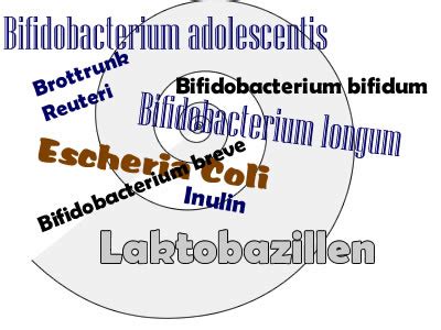 Difficile) ein harmloses darmbakterium, das teil der normalen darmflora (auch: Clostridien Therapie - Die richtige Behandlung von Clostridien