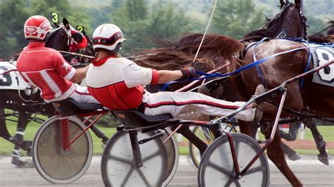 Discover Harness Racing Sulky Racing History And Strategies