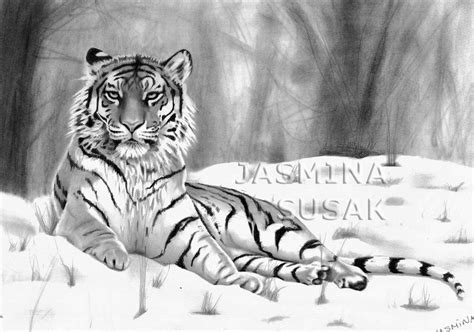 Tiger In A Snow By Jasminasusak On Deviantart