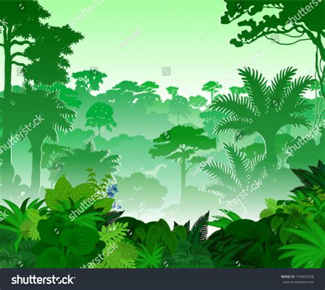 Vector Tropical Rainforest Jungle 155424758 Shutterstock