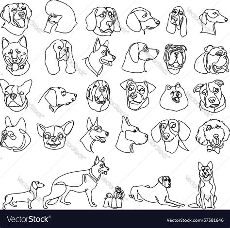 Set Drawing Pets In Linear Style Dog Breeds Vector Image