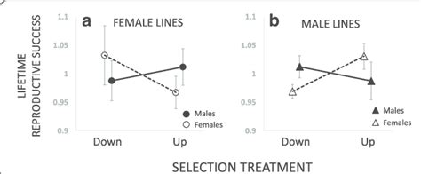 Correlated Responses In Relative Lifetime Reproductive Success Lrs Of Download Scientific