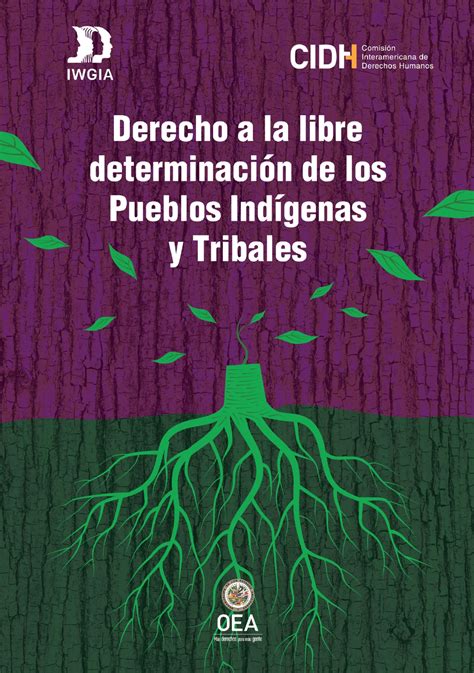 Derecho A La Libre Determinaci N De Los Pueblos Ind Genas Y Tribales Iwgia International