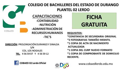/ is it the right time to invest in cryptocurrencies? Becas Progresar 2021 Fecha De Inscripción : Becas ...