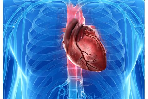 Why is treating cancer so hard? TIL Heart cancer is not as common as other kinds of cancer ...