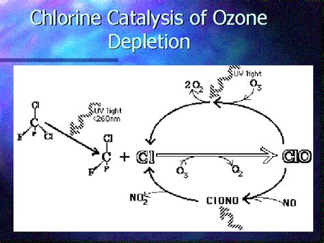 Chlorine Catalysis Of Ozone Depletion