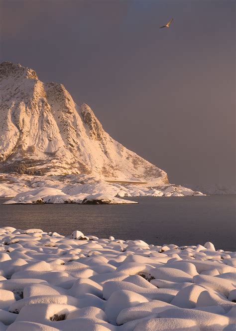 Arctic Lofoten Norway By Stian Klo Con Immagini Paesaggi Viaggi