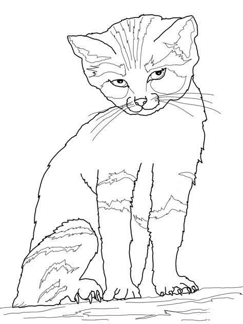 Pictures of cat breed coloring pages and many more. Calico Cat Coloring Page at GetColorings.com | Free ...
