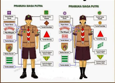 21 Pakaian Pramuka Lengkap Konsep Baru