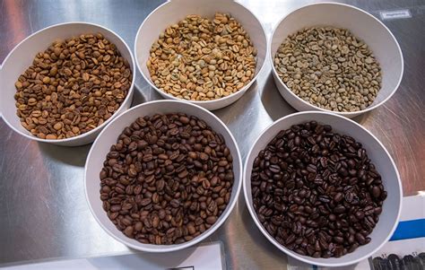 UGROŽENA PROIZVODNJA Nestanak prijeti za više od polovine vrsta kafe u