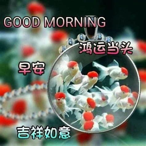 Audio links are indicated with the mark, ►. 628 best Good Morning Wishes In Chinese images on Pinterest