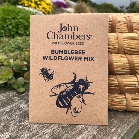 John Chambers Wildflower Seed Bumblebee Wildflower Mix Chain Bridge