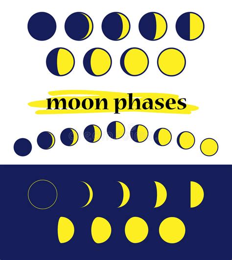 The Phases Of The Moon The Whole Cycle From New Moon To Full Vector
