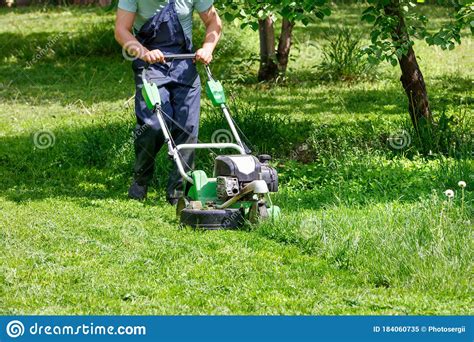 A Worker Mows A Green Lawn With A Petrol Mower In A Spring Garden Stock