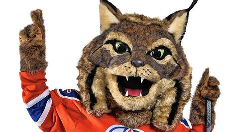 582 438 tykkäystä · 7 927 puhuu tästä · 36 136 oli täällä. Edmonton Oilers introduce new mascot 'Hunter' - Sportsnet.ca