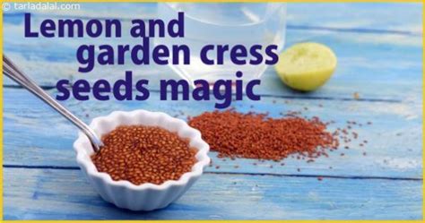 Garden cress seeds are loaded with not just protein how to eat: Lemon and garden cress seeds magic tip | Home Remedies ...