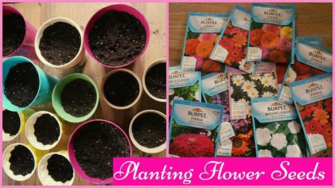 Planting Flower Seeds Youtube