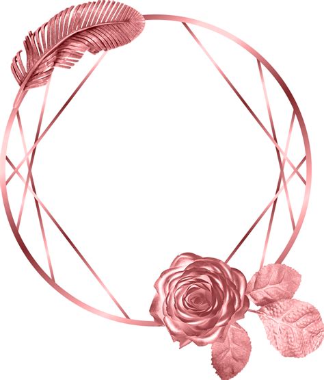 circle leaf rose frame rosegold glitter geometric color... png image