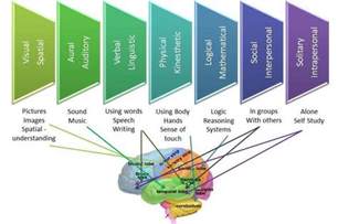 Understanding Your Individual Learning Styles In Relation To Learning