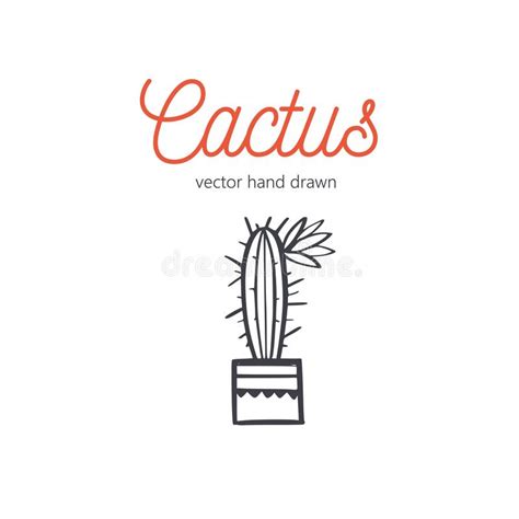 Cactus Vector Hand Drawn Desert Houseplant Sketch Stock Vector