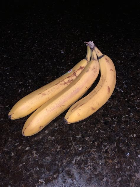 Two Enormous Bananas Banana For Scale Rweird