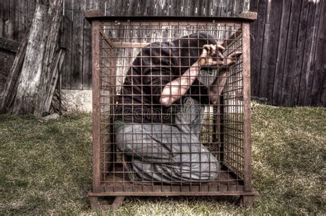 Homme Dans La Cage Image Stock Image Du Grille Phrase 38525297