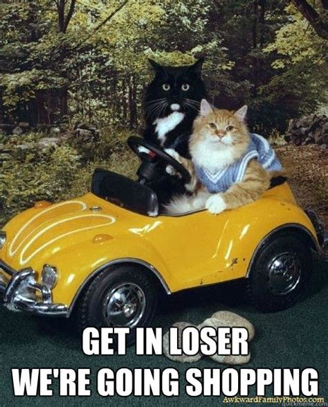 Get in loser we're going shopping. GET IN LOSER WE'RE GOING SHOPPING - Mean Cats - quickmeme