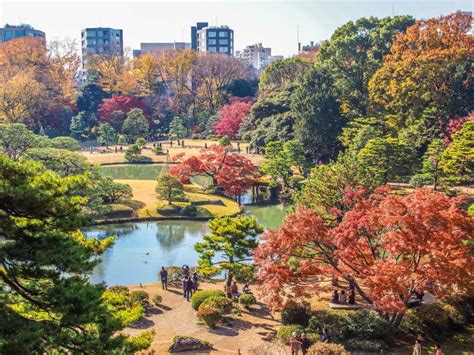 (puedes comprobar tu zona horaria aquí). 25 Mejores Lugares Que Ver en Tokio, Japón - Viajar sin Prisa