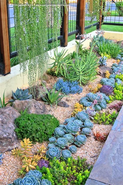 100 Succulent Garden Ideas For Uniqueness And Intrigue In Your Garden