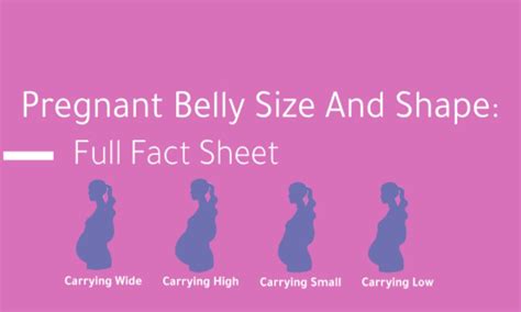 Pregnancy Belly Measurement Chart